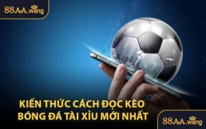 Kiến Thức Cách Đọc Kèo Bóng Đá Tài Xỉu Mới Nhất