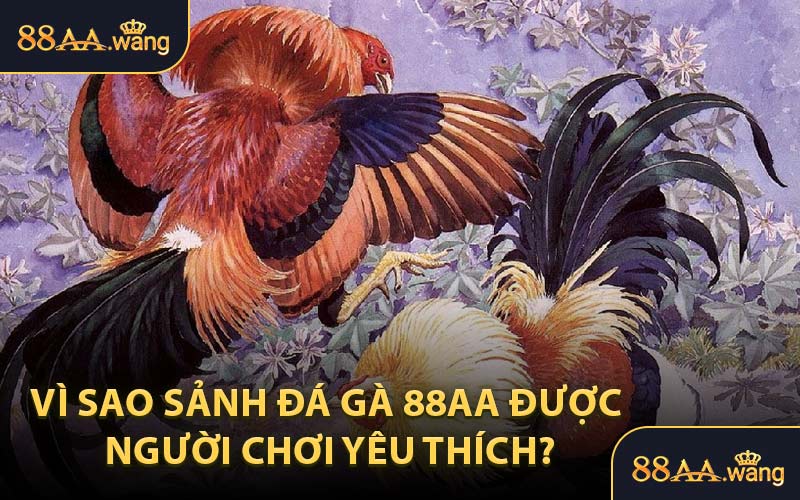 Vì Sao Sảnh Đá Gà 88AA Được Người Chơi Yêu Thích?